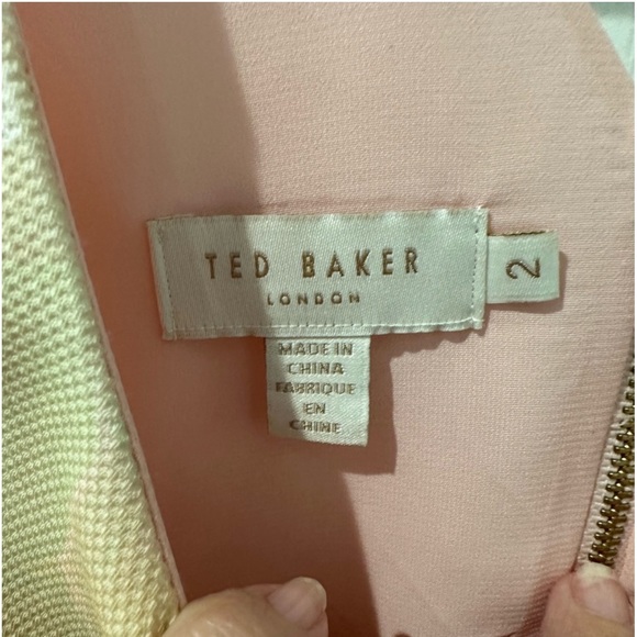 Ted Baker Damona Rose On Canvas Sleeveless Pink Floral Mini Dress - Picture 11 of 12